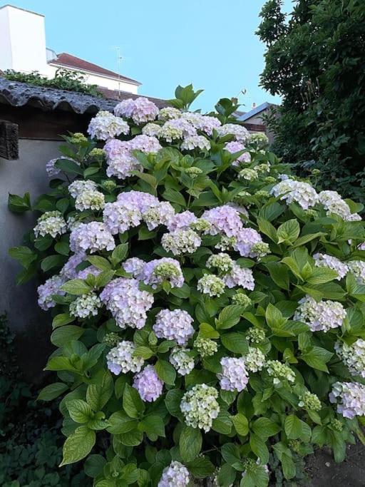 La Casa Del Papa - Maison Spacieuse Avec Jardin Dole Esterno foto
